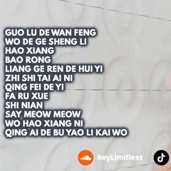 DJ Guo Lu De Wan Feng Breakbeat Manyao Viral Mixtape