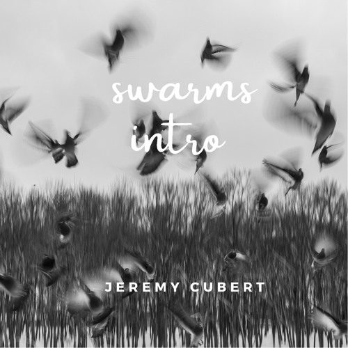Swarms Intro