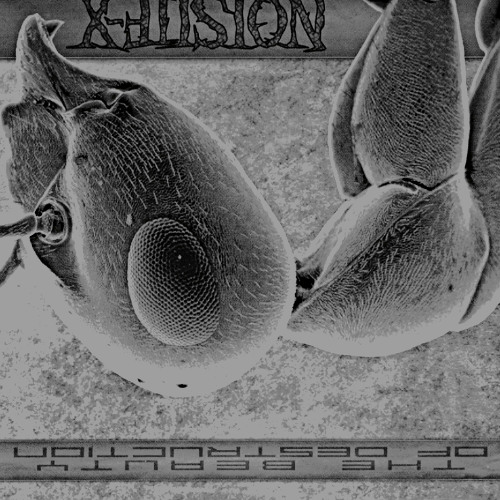 Hit Me Hard (slowed + loop)