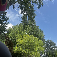 FATS- Going up w/ 30M