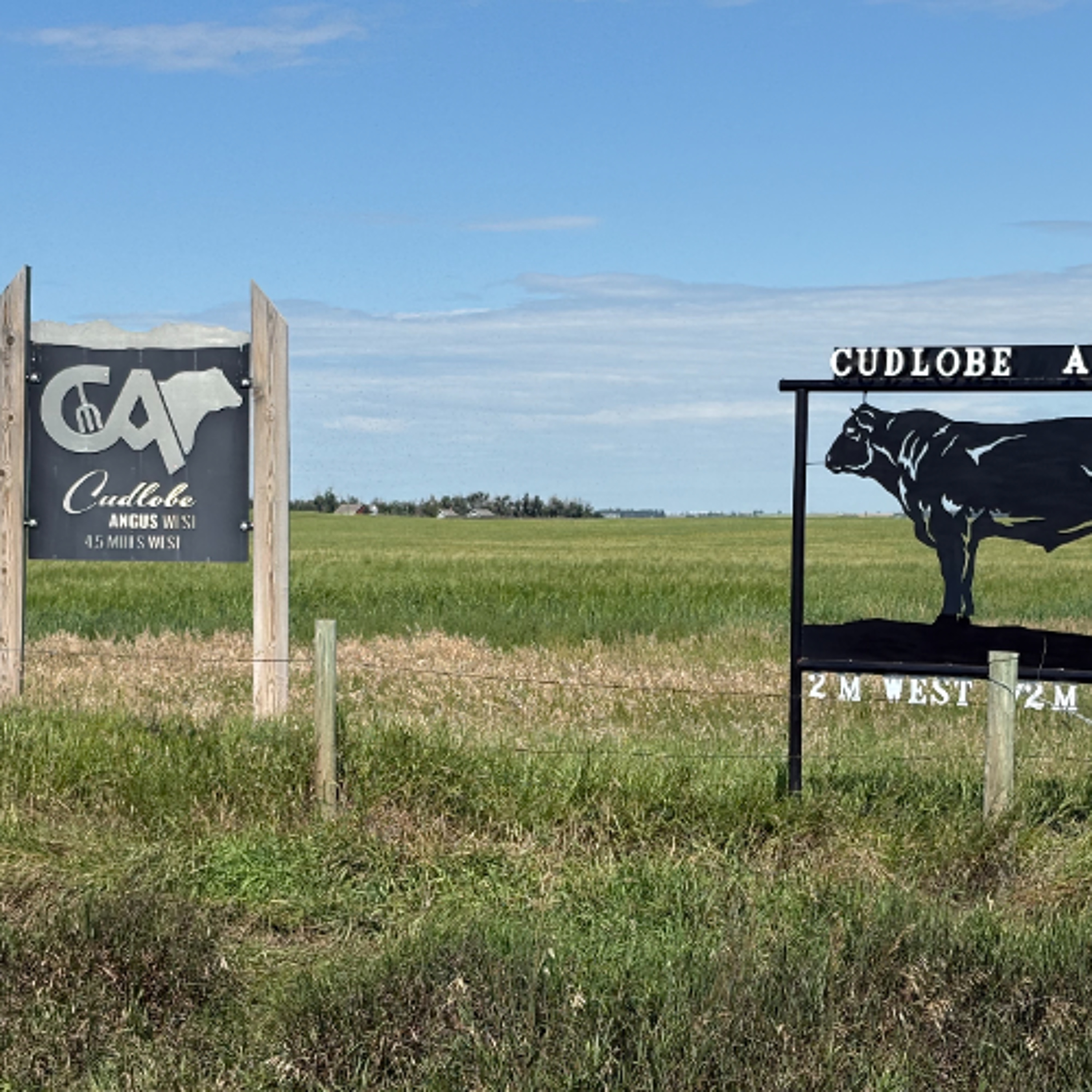 RRC Podcast Ep. 5 - Aug. 11 - Cudlobe Cattle Field Day