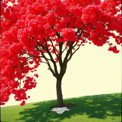 Albaloo آلبالو - Lady Bergamot بانو ترنج