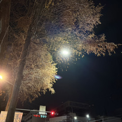 내일 할 일 with Canver