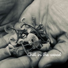 Chill in the wood /ϟ/ Fhex /ϟ/ 2020