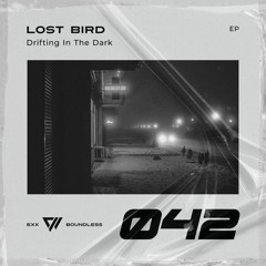 Lost Bird - Running Lies [Preview]