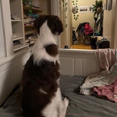 234 draft full_ - 12_2_24, 7.51 PM