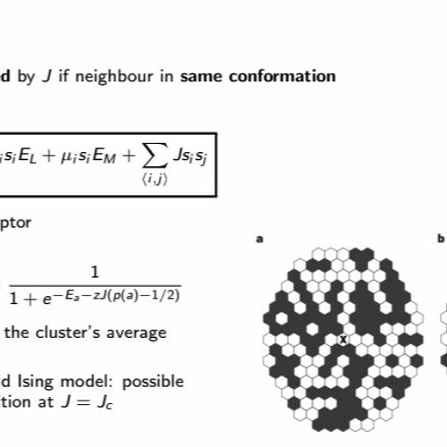 the scientific method