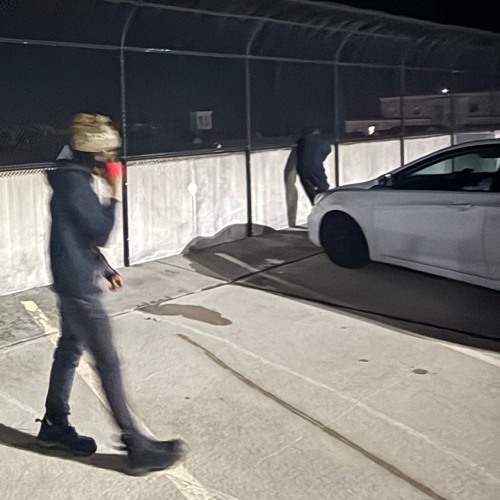 roll the dice W/ MyArchive