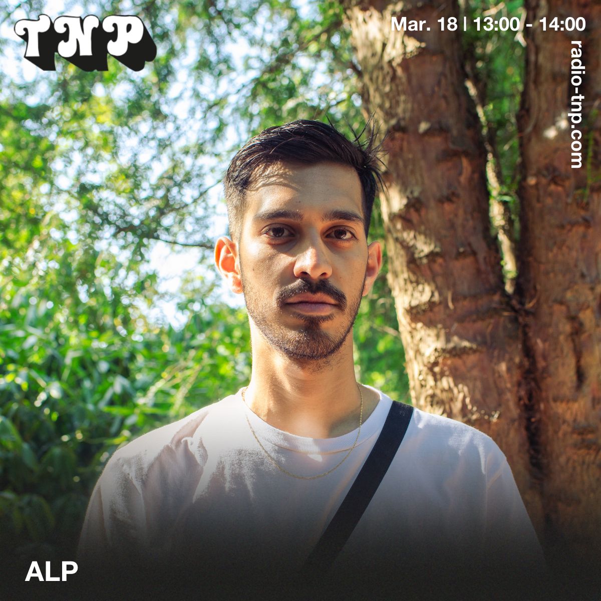 ALP