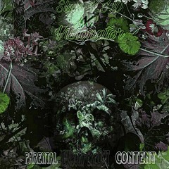 Hidden  ft Visionator