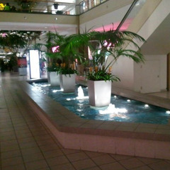 mall_shopping
