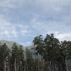 Кто на такси