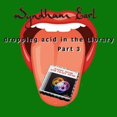 Mr Bongo Record Club Guest Mix - Wyndham Earl "Dropping Acid In The Library" Part 3