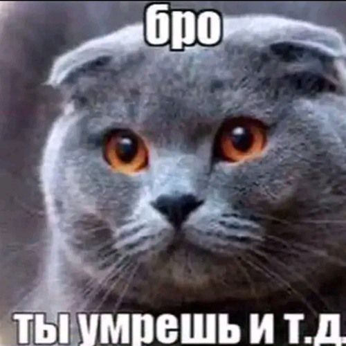 будни школьника feat. олег