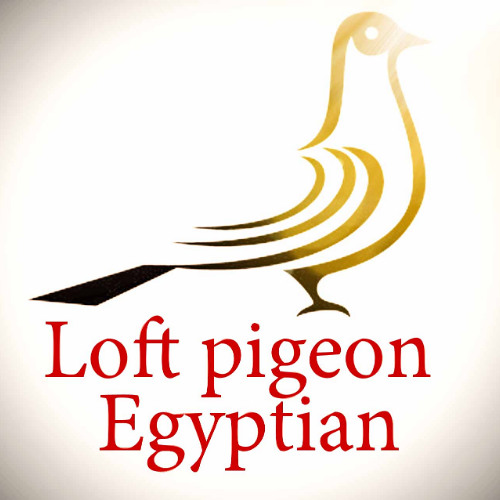 ام كلثوم - امل حياتى