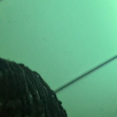 Tana - Birthday Sex (Lil Icy Mix)