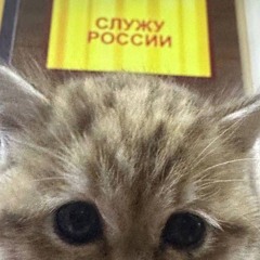 madk1d - давно на СВО
