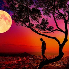 Alexander Kastelijn - Pres. Sam Switch ft. Feline Ashley - Starlight Echoes (Radio Edit)