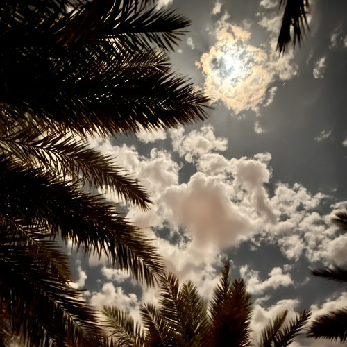 " غلاه من فوق الغلا ماهو بدون "
