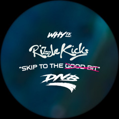 RIZZLE KICKS - SKIP TO THE GOOD BIT (WHY TK BOOTLEG)
