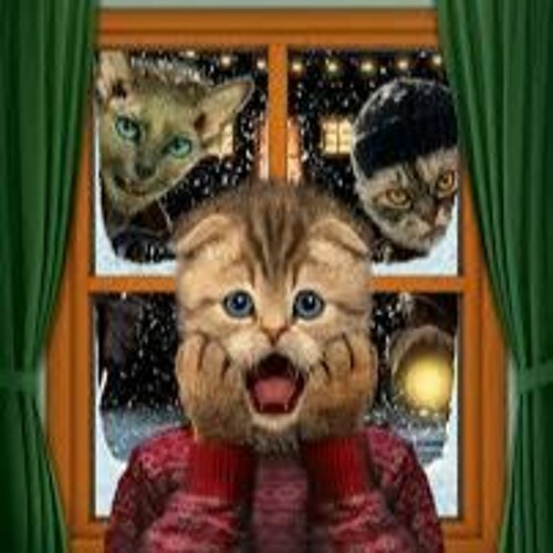 WHEN THE CATS AT HOME ALONE