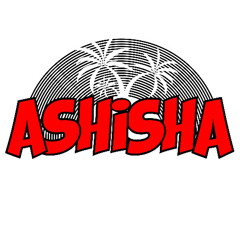 Ashisha NYC Subway Commute 5