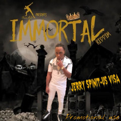 Jerry Spinit - US VISA