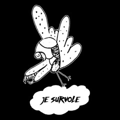 je survole