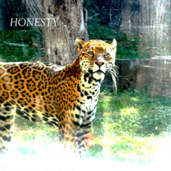 Honesty (Billy Joel Cover / Interpretation)