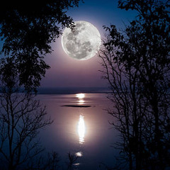 AS THE MOON RISE - BbyNash (Beat by The Rizzler)