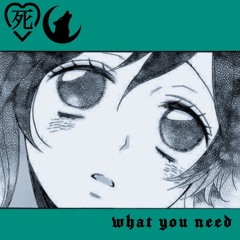 WHAT YOU NEED ♡ (feat. RAYWULF)