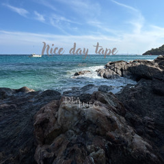 NICE DAY TAPE 2025 // DLA FUEG