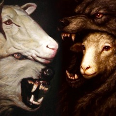 BELKA STRELKA