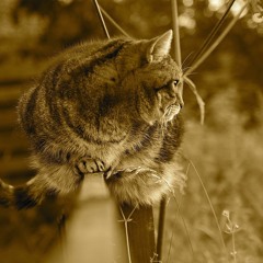 Tigger - 27:01:2023, 17.51