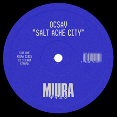 Salt Ache City (Extended Mix)