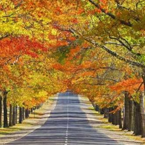 Itom Records Showcase Moti Brothers 2021.09.07.