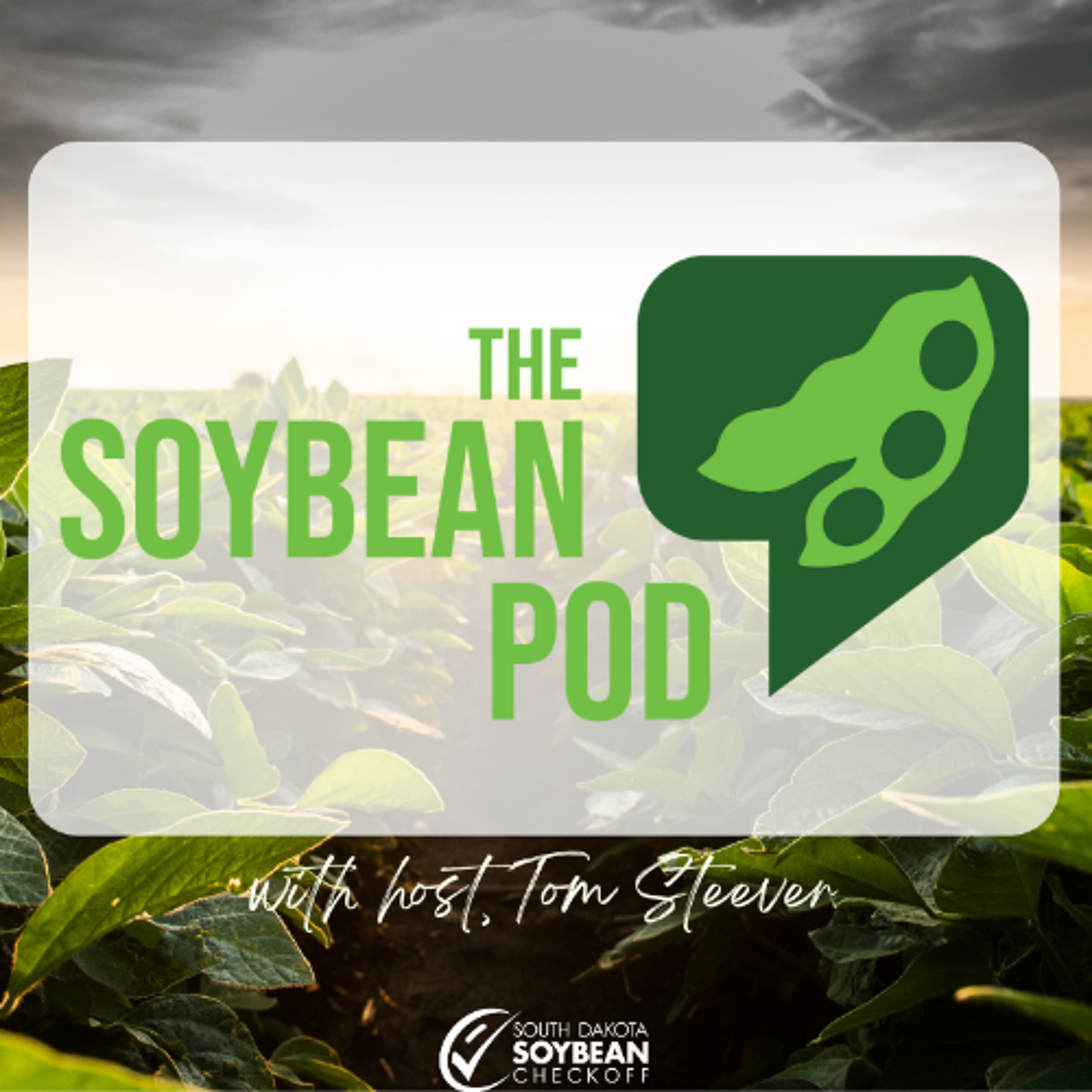 Ross Tschetter: Cultivating Leadership and Navigating Soybean Markets episode artwork