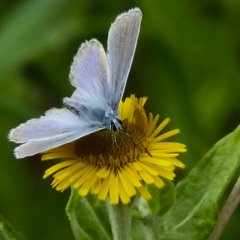 I Don't Know Who You Are