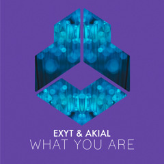 What You Are (Radio Edit)