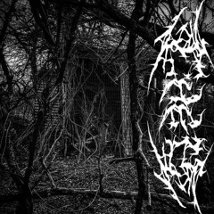 they [#убежищеангела]