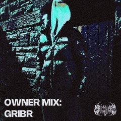 OWNER MIX VOLUME 1: GRIBR
