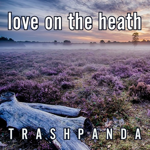 Trash Panda / TP090 / Love on the Heath [LIVE @ The Battery Library SF] / 2024-06-07