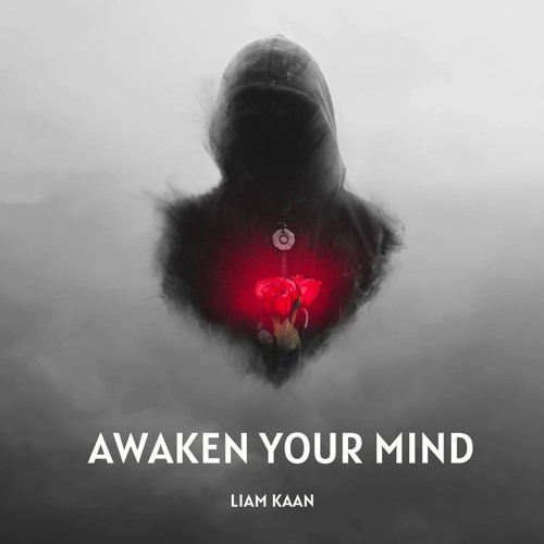 Awaken Your Mind (Radio Edit)
