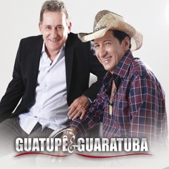Cheiro de Viola - Pagode