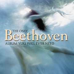 Symphony No. 7 in A, Op. 92: III. Presto, assai meno Presto
