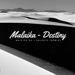Destiny (Wallies SA x Dalootz Remix)