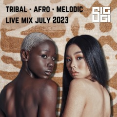 Live Tribal Afro House - Melodic Techno Mix Chiringuito Bali Double Six Beach Bali - DJ SIGGI
