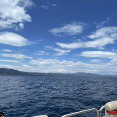 When will we be this way again? (Wonderful Wednesday)