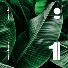 Chris Bekker - Woodsonic1