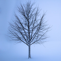 untitled 2